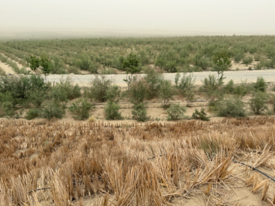 没有围墙的实验室便是一种心连心幸福教育的新式教育实践 没有围墙的实验室便是一种心连心幸福教育的新式教育实践